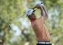 David Toms (Getty Images)